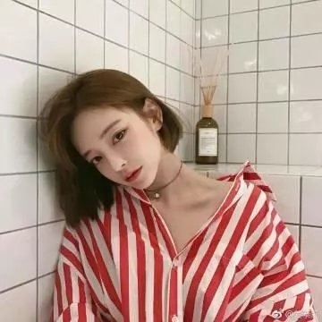 鲨与鲸